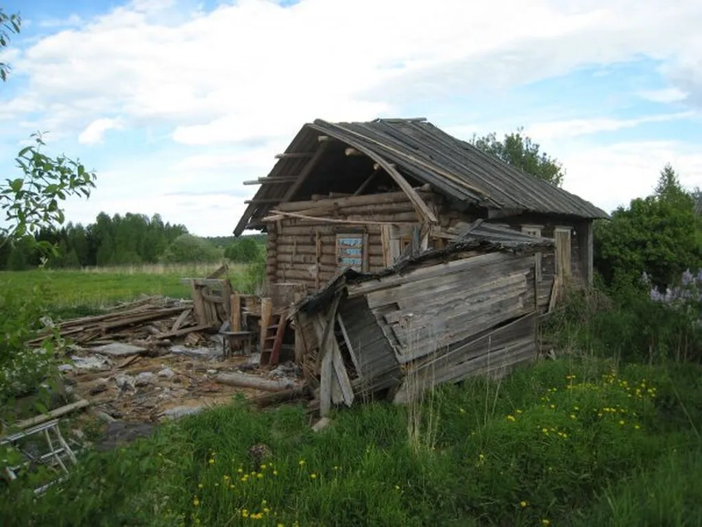 2009 г.