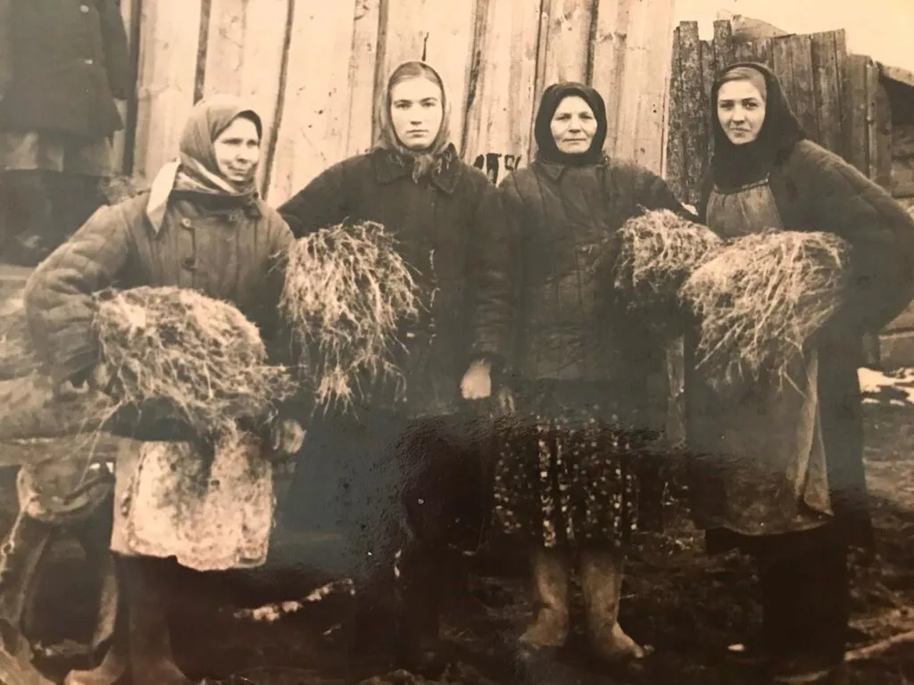 дер. Черкасы, начало 60-годов ХХ века на обработке льна. Д.В. Зубарева, М.В. Вершинина, И.К. В