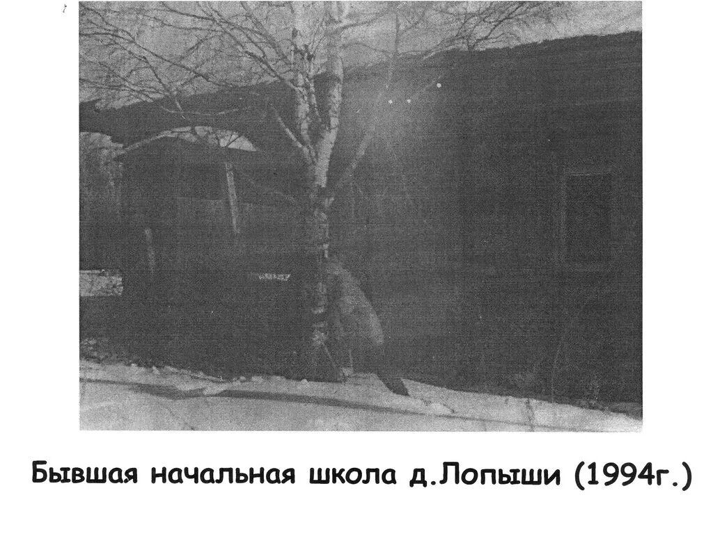 1994