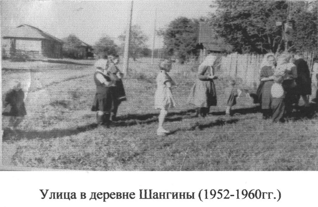 Шангины деревня