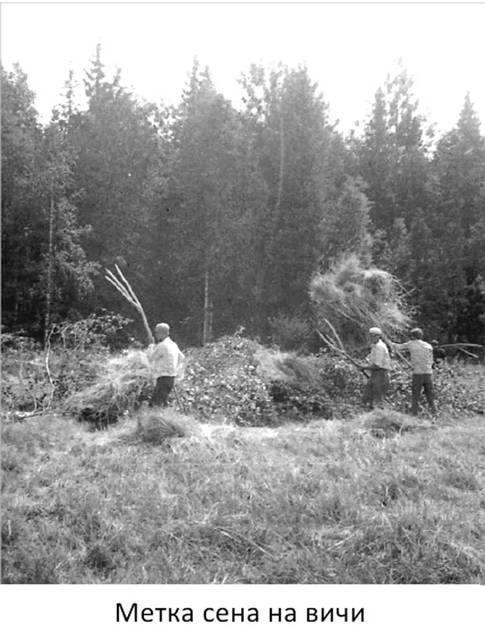 1981