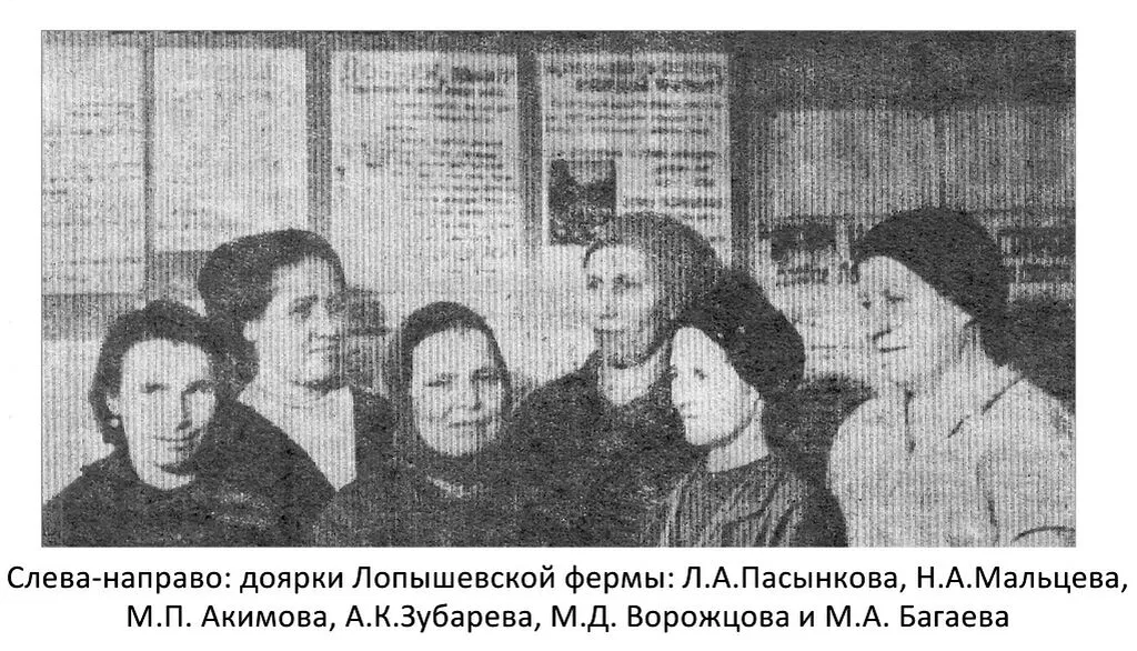 1981