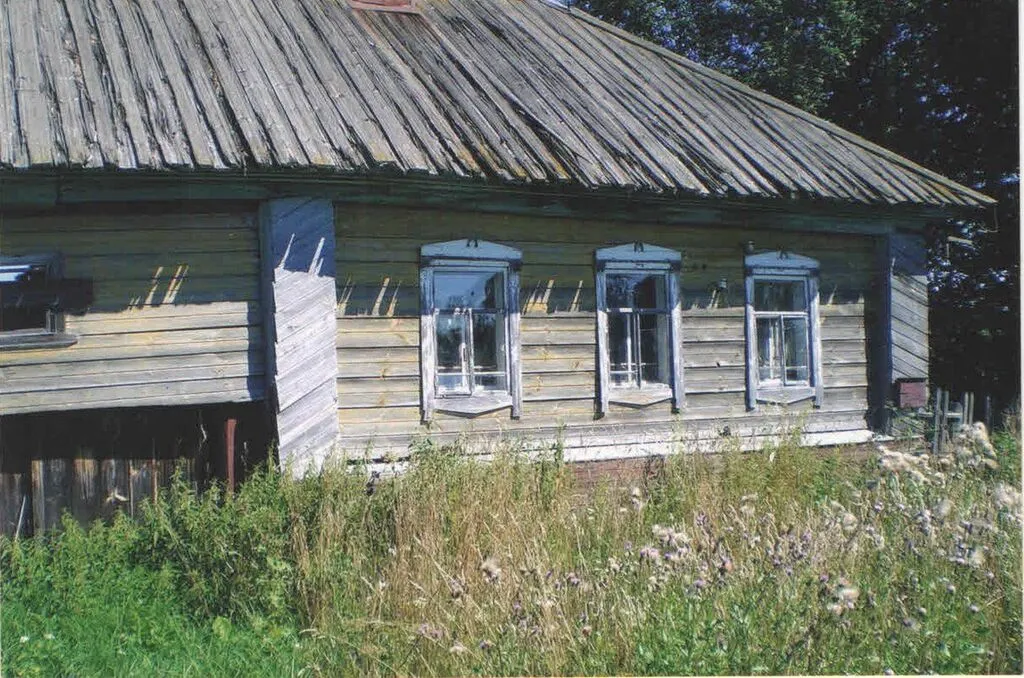 дом Шангина Дмитрия Ивановича, д. Шабры, 2013 год