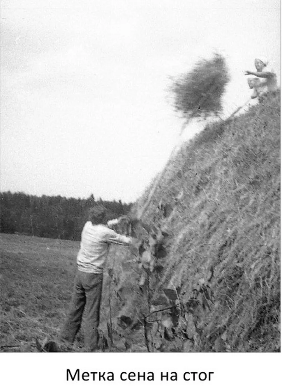 1975