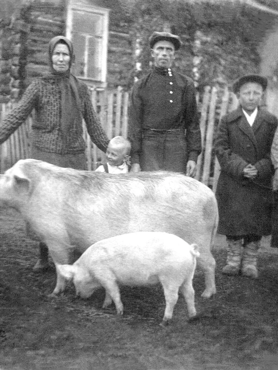1933 год  Чибаковы