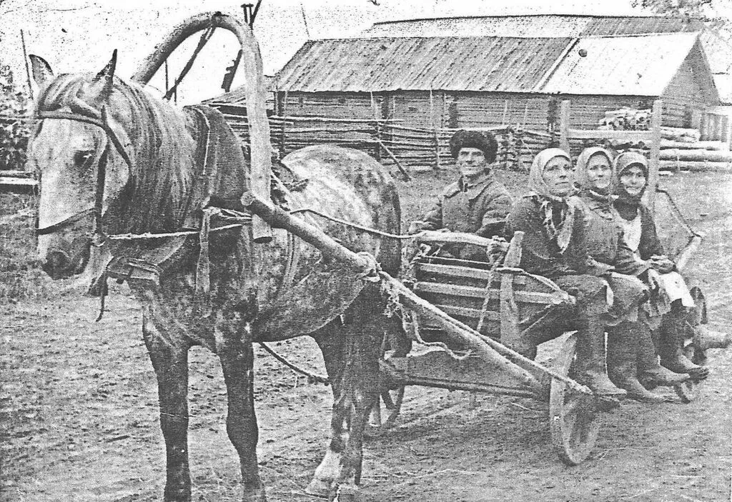 1950 - е