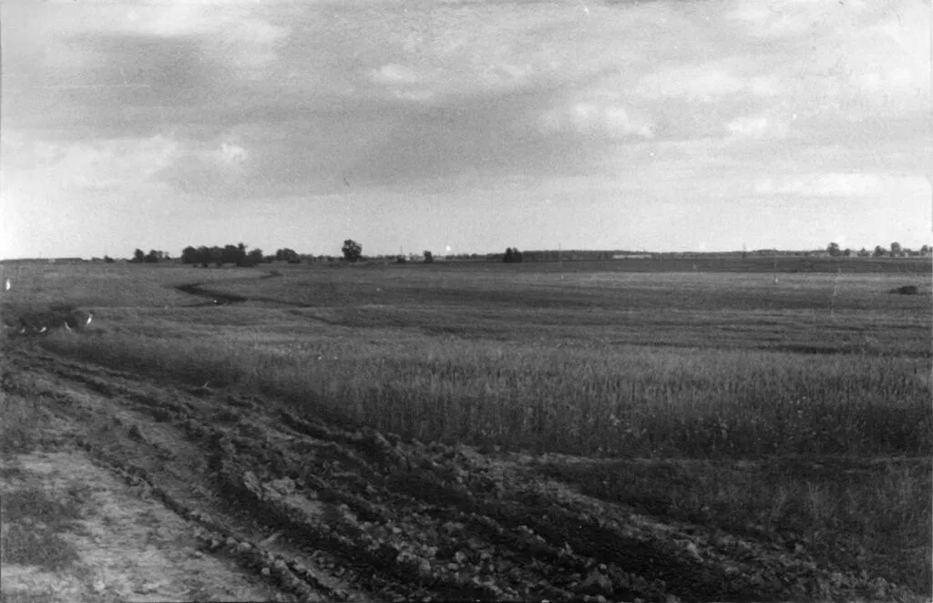 Дорога из д.Белоречена в д.Б.Чернушка