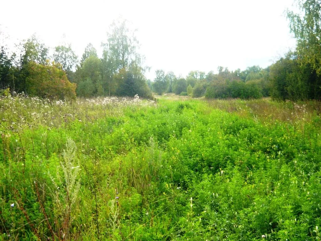 Бывшая улица д. Бессолово