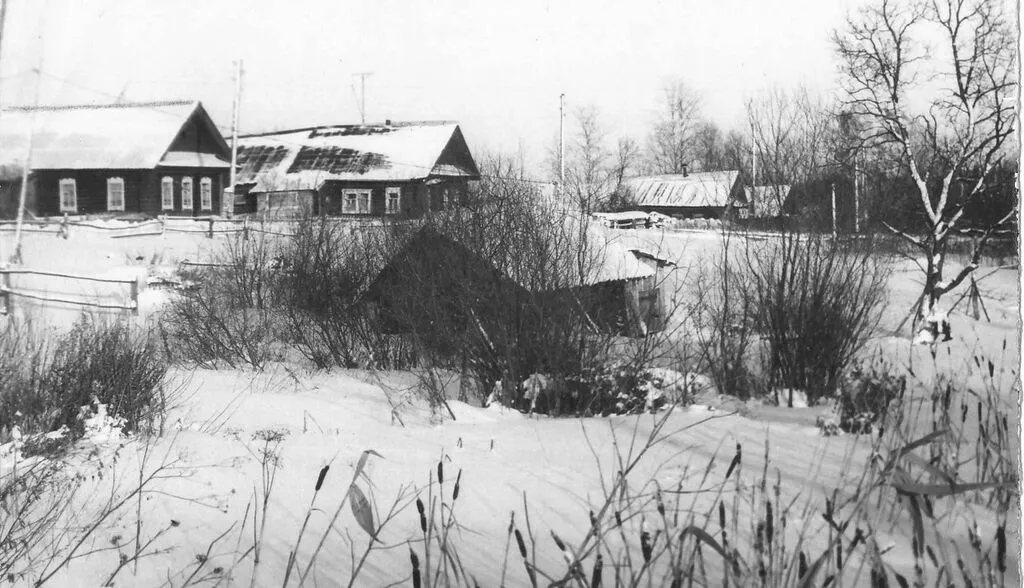 Мостолыги 1994 год