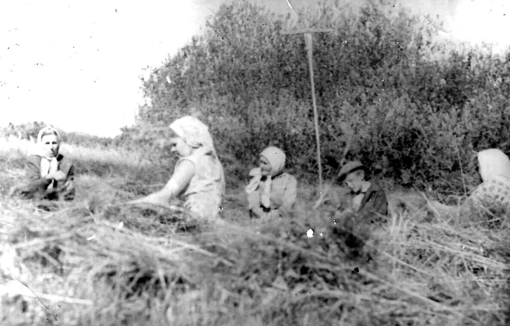 Жители д.Севастьяне на сенокосе, слева-Новикова Любовь Папеевна 60-70-годы XX века