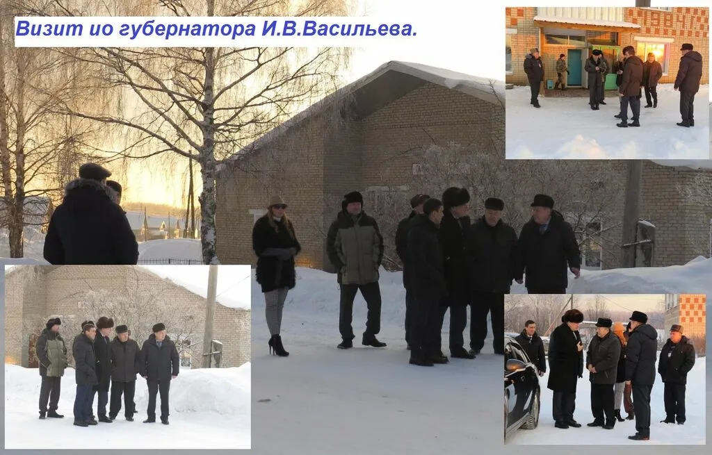 визит ио васильева