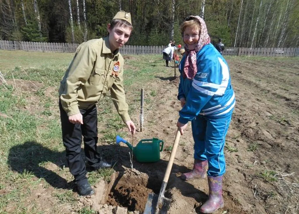 огород