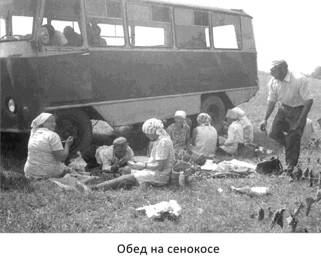 1982