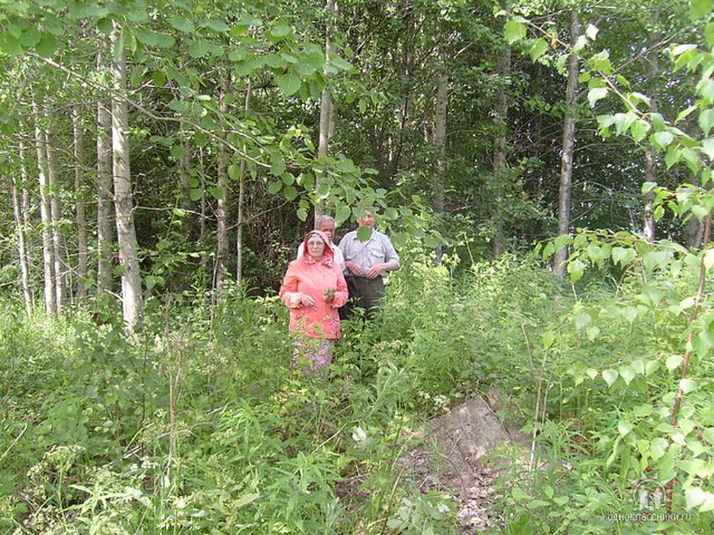 Дом Виктора Яковлевича у нас под ногами,д.Мохи.2010г.